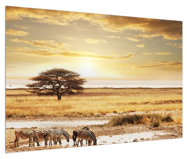 Tablou cu savana și zebre (90x60 cm)