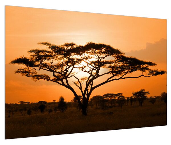 Tablou cu savana africană (90x60 cm)