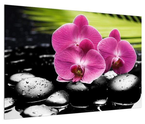 Tablou cu floarea de orhidee (90x60 cm)