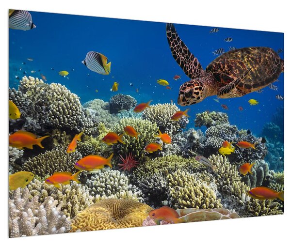 Tablou cu lumea submarină (90x60 cm)