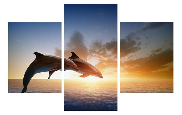 Tablou cu delfinii (90x60 cm)