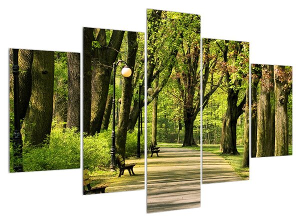 Tablou cu alee în parc (150x105 cm)