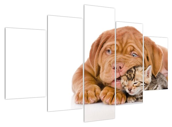 Tablou câinele cu pisicuța (150x105 cm)