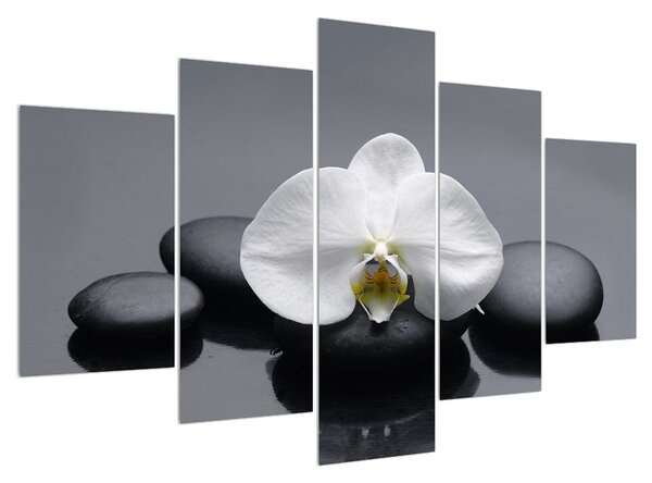 Tablou cu orhidee (150x105 cm)