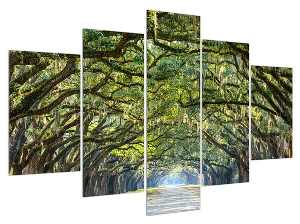 Tablou cu alee și copaci (150x105 cm)