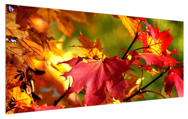 Tablou cu frunze de toamnă (120x50 cm)