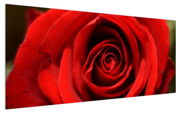 Tablou detailat cu trandafir (120x50 cm)