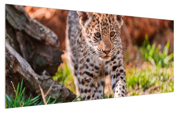 Tablou cu gepard mic (120x50 cm)