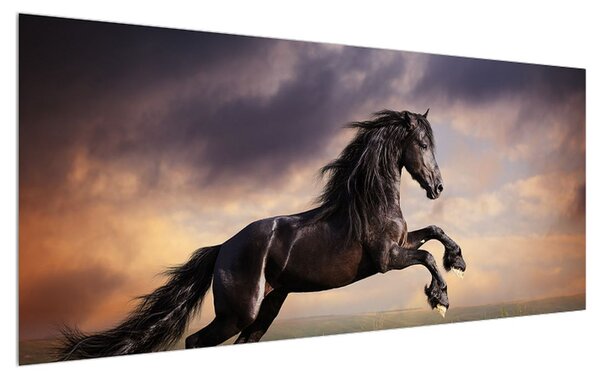 Tablou cu cai (120x50 cm)