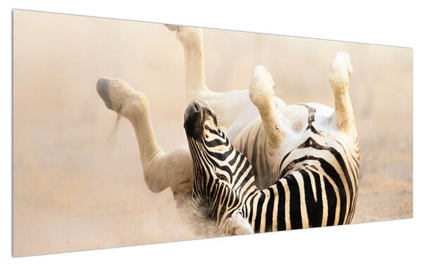 Tablou cu zebră culcată (120x50 cm)