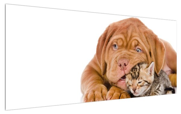 Tablou câinele cu pisicuța (120x50 cm)