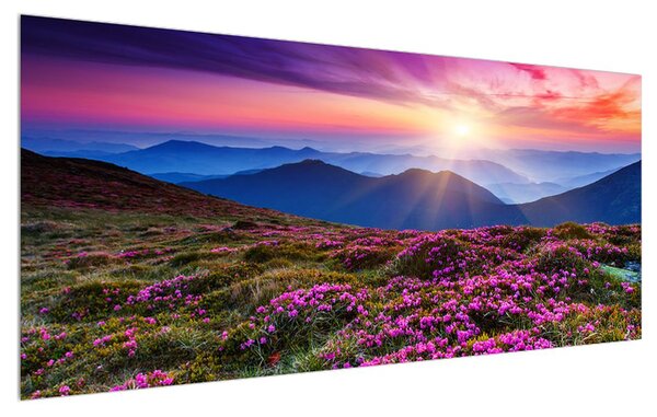 Tablou cu peisaj montan înflorit (120x50 cm)