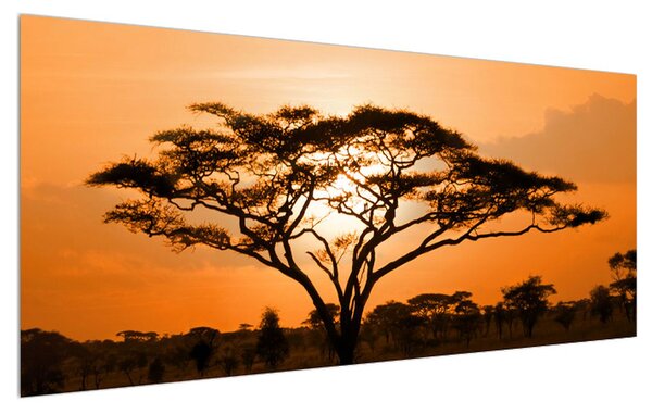 Tablou cu savana africană (120x50 cm)