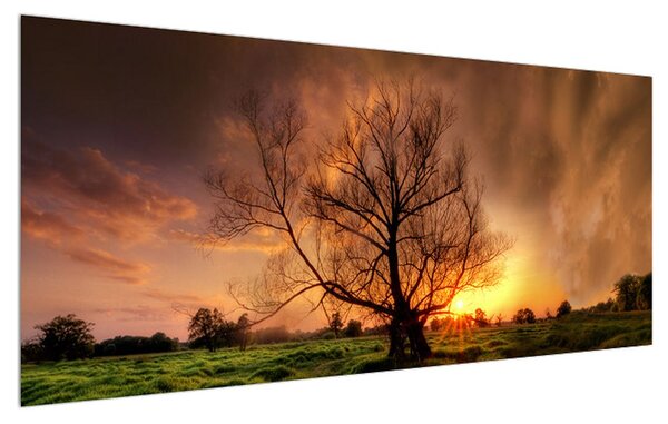 Tablou cu copac în natură (120x50 cm)