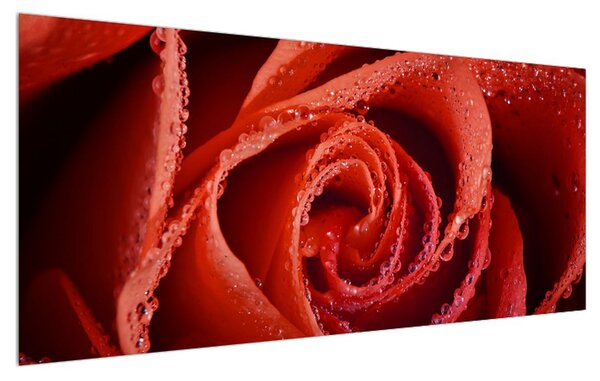 Tablou cu trandafirul roșu (120x50 cm)