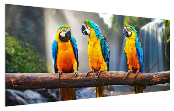 Tablou cu papagali (120x50 cm)