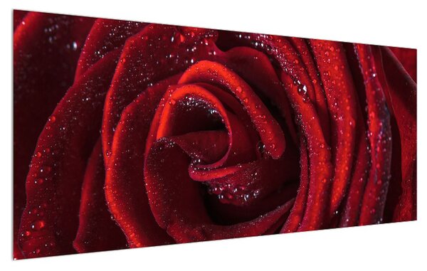 Tablou cu trandafir roșu (120x50 cm)