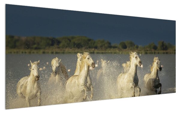 Tablou cu cai albi (120x50 cm)