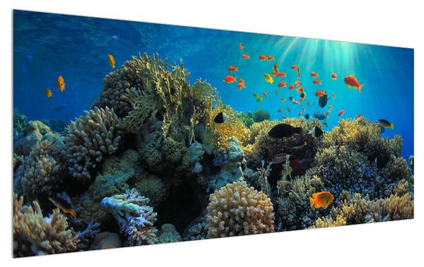 Tablou cu lumea submarină (120x50 cm)