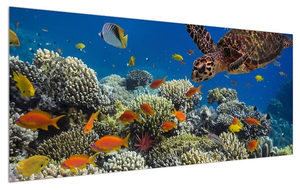 Tablou cu lumea submarină (120x50 cm)
