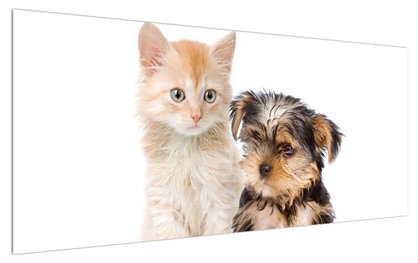 Tablou câine și pisica (120x50 cm)