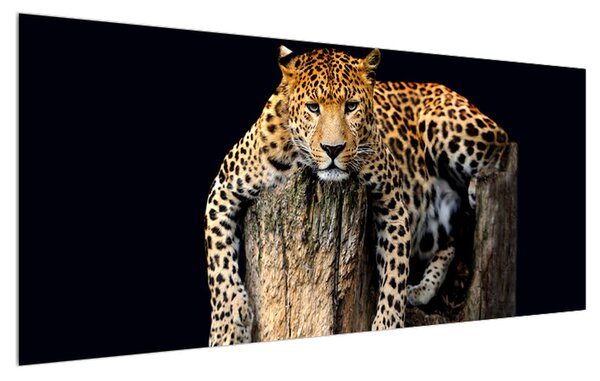 Tablou cu gepard (120x50 cm)
