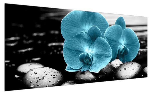 Tablou cu flori de orhidee albastre (120x50 cm)