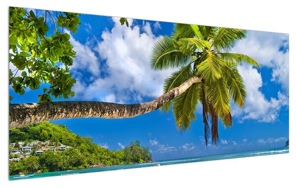 Tablou cu palmier și plaja (120x50 cm)