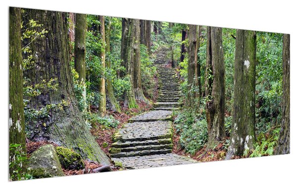 Tablou cu trepte din piatră în pădure (120x50 cm)