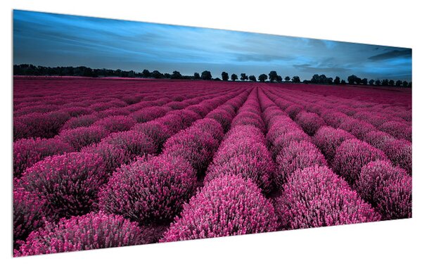 Tablou cu cîmp de flori (120x50 cm)
