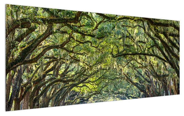 Tablou cu alee și copaci (120x50 cm)