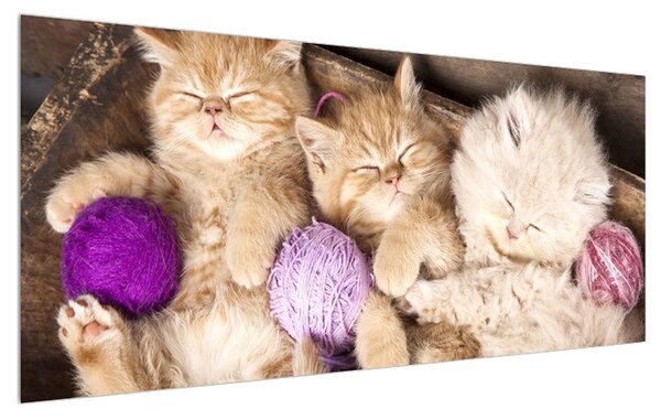 Tablou cu pisicuțe dormind (120x50 cm)