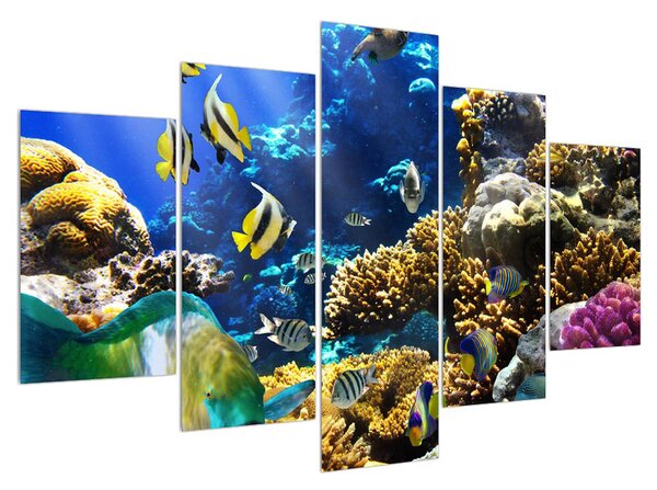 Tablou cu lumea submarină (150x105 cm)