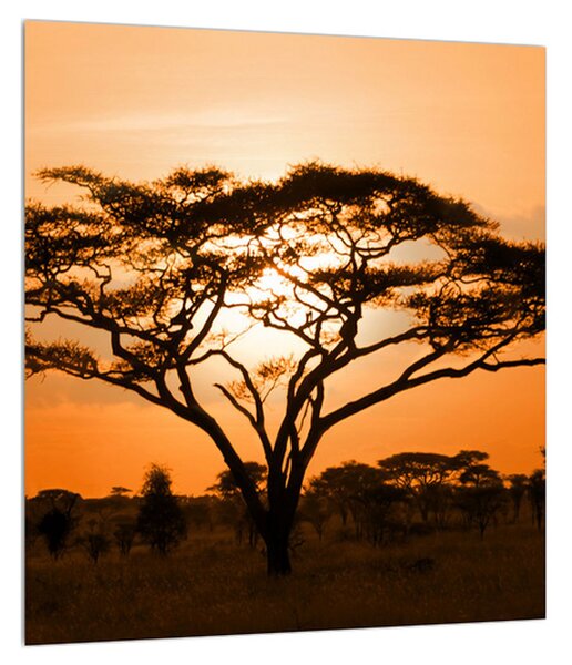 Tablou cu savana africană (30x30 cm)