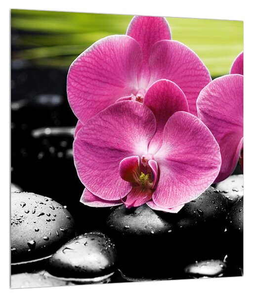 Tablou cu floarea de orhidee (30x30 cm)