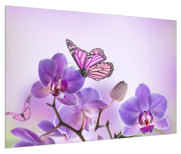 Tablou cu fluture pe floare de orhidee (90x60 cm)