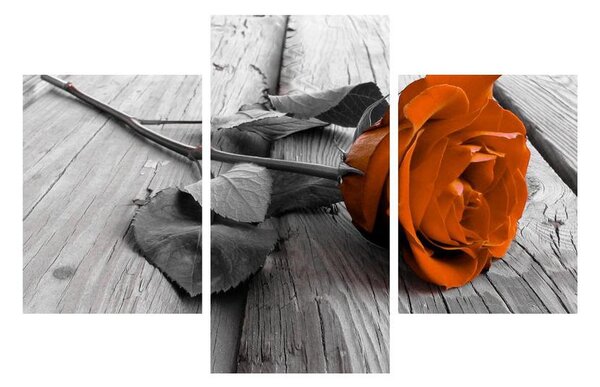 Tablou cu trandafirul portocaliu (90x60 cm)