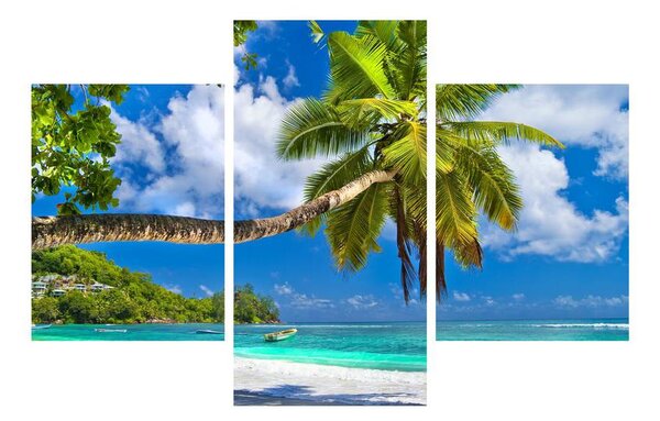 Tablou cu palmier și plaja (90x60 cm)