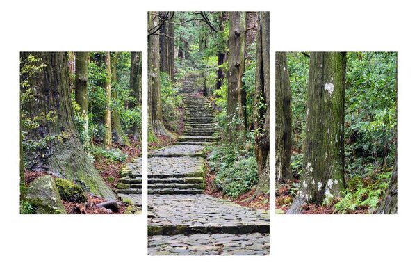 Tablou cu trepte din piatră în pădure (90x60 cm)