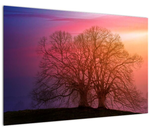 Tabloul pomilor în ceață (90x60 cm)