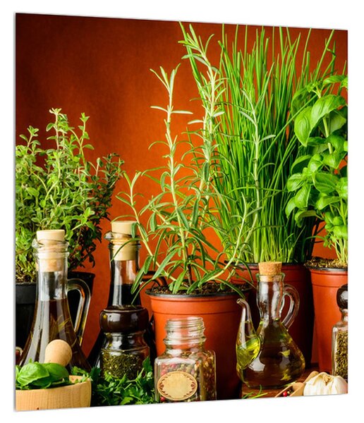 Tablou cu plante și condimente (30x30 cm)