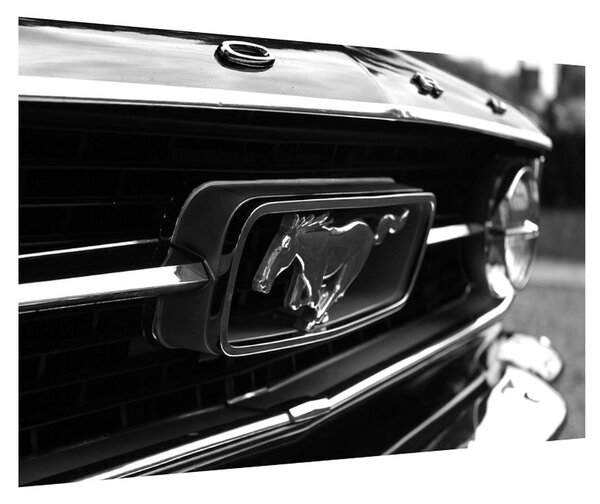 Tablou detailat cu mașina Mustang (90x60 cm)