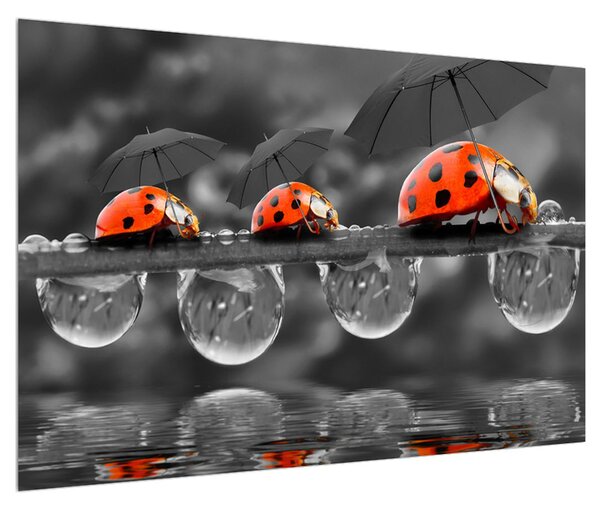 Tablou cu buburuze și umbrele (90x60 cm)