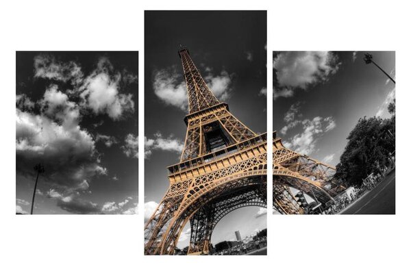 Tablou cu turnul Eiffel (90x60 cm)