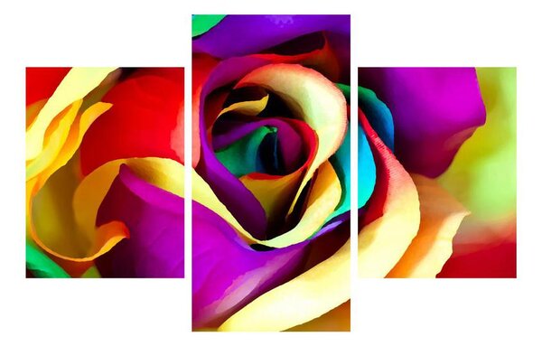 Tablou colorat cu trandafirul abstract (90x60 cm)