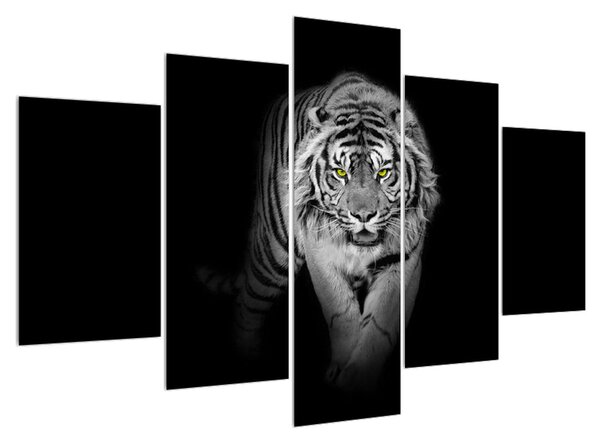 Tablou albnegru cu tigru (150x105 cm)