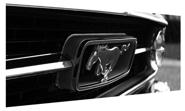 Tablou detailat cu mașina Mustang (120x50 cm)