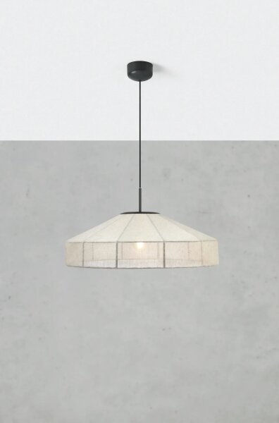 Markslöjd 108955 - Lampă suspendată pe cablu ALIA 1xE27/60W/230V in/negru