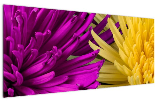 Tablou - detailu cu flori (120x50 cm)