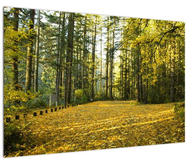 Tablou - pădurea toamna (90x60 cm)